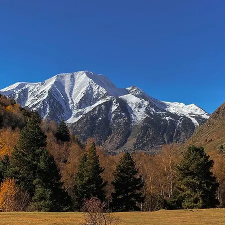 Cosy Proche Depart Station De * Porté-Puymorens